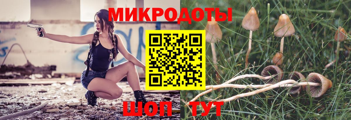 Псилоцибиновые грибы мицелий Арсеньев