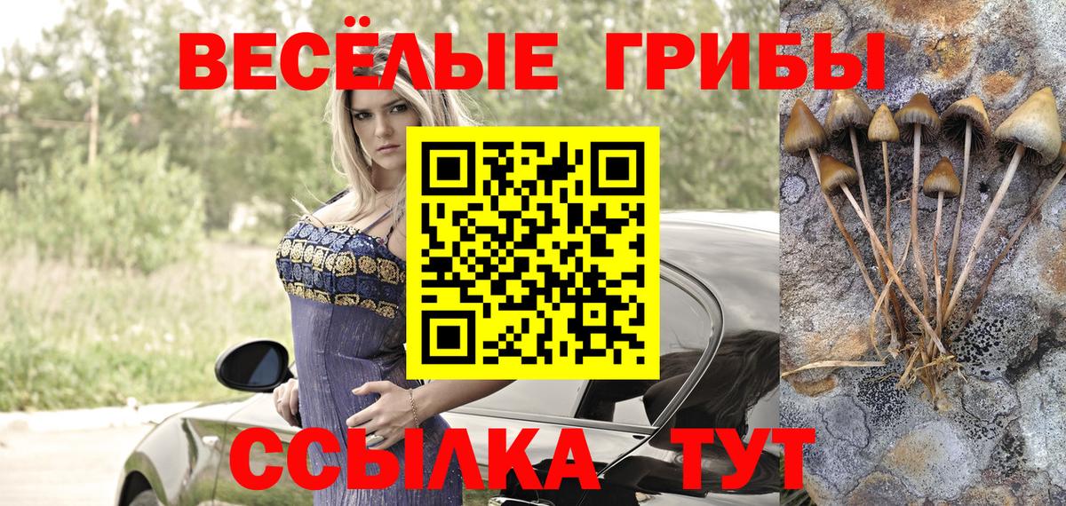 хочу   Вход с VPN  Арсеньев  Псилоцибиновые грибы GOLDEN TEACHER 